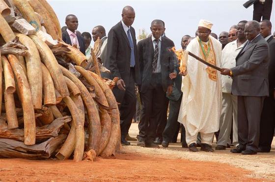 In an Effort to Bring Awareness to Conservation, Kenyan President Burns 5 Tons of Ivory