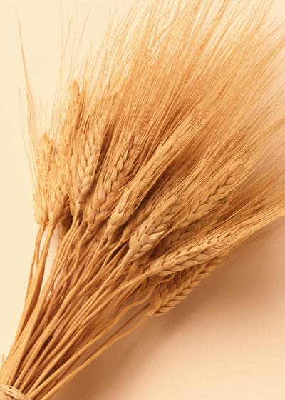 What You Need to Know About Gluten Sensitivity