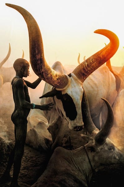 Nude Photographs of the Dinka: Art or Exploitation?