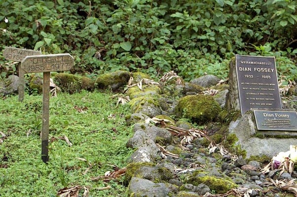 Dian Fossey’s Tomb