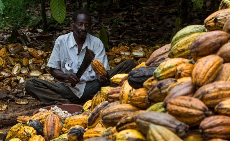 Ivory Coast Emerges as Africa's Fastest Growing Economy