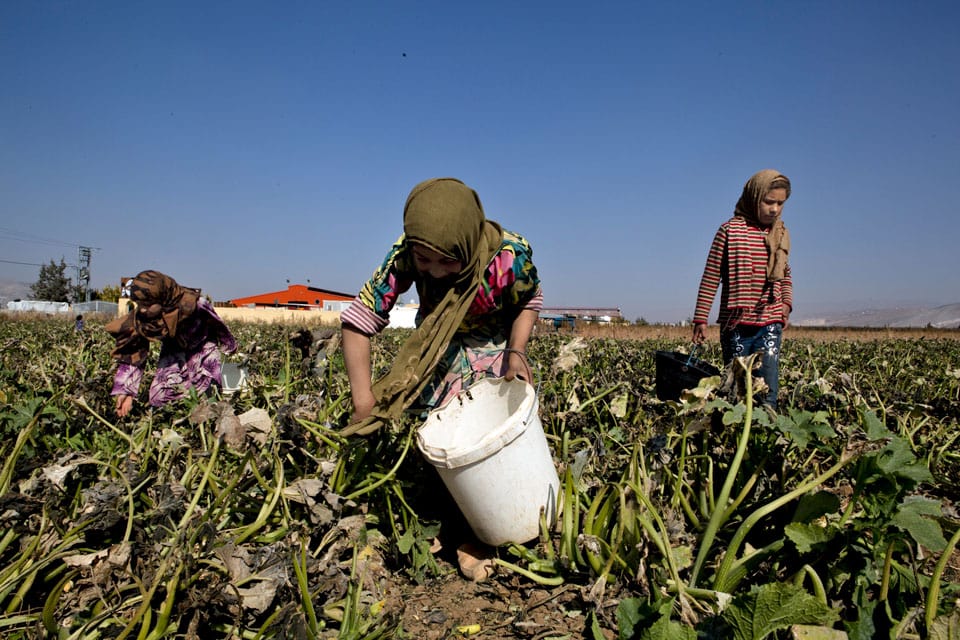 child-labor