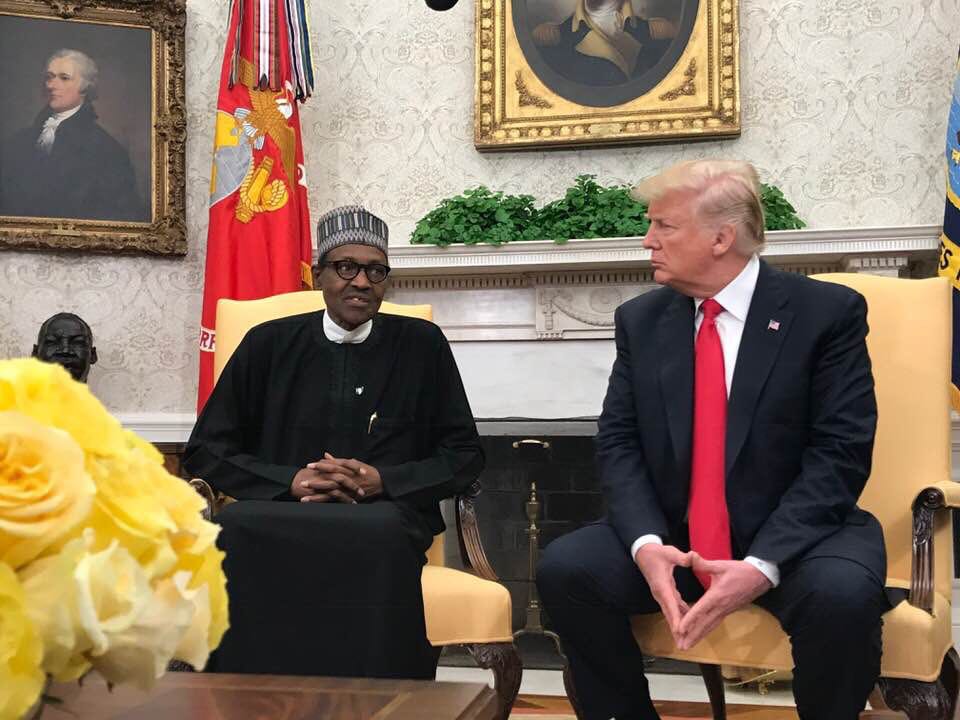 U.S. will make Africa great again with Nigeria&#039;s help - Nigerian governor implies