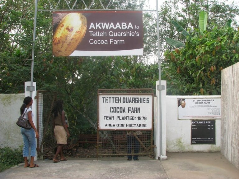 Tetteh Quarshie The man credited with bringing cocoa to Ghana from