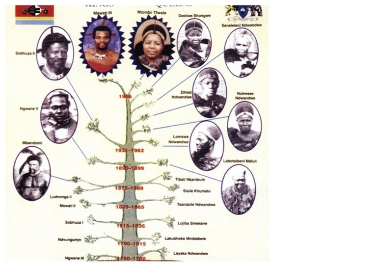 Ngwane III The King Who Founded An African Country In The 1700s After 