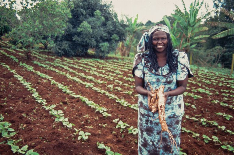 How Wangari Maathai defied all odds to become Kenya&#039;s first female professor and renowned environmentalist