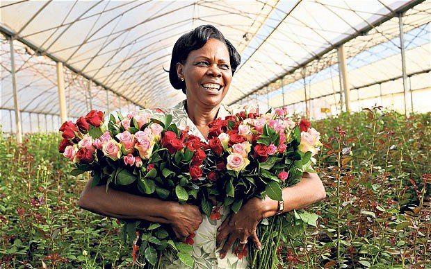 Kenya is the world&#039;s 4th-largest flower exporter and makes over $500m a year