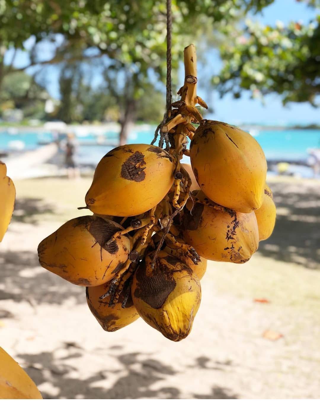 Celebrating Mauritius’ independence day with photos of the beautiful island nation