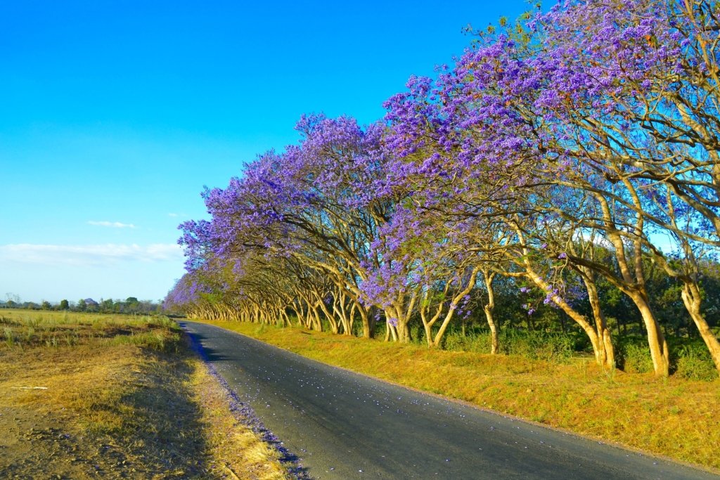 It&#039;s not all dirt, here are some of the most beautiful roads in Africa [Photos]