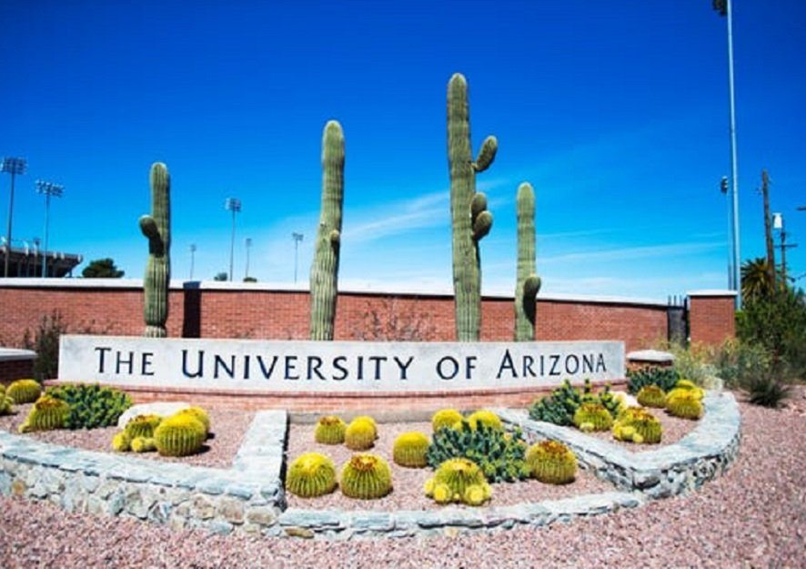 Two white University of Arizona students arrested over brutal beating of black student and calling him N-word