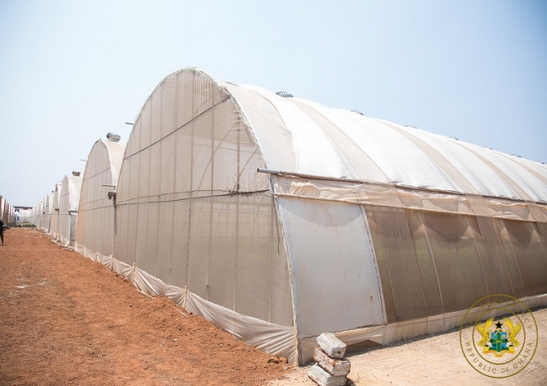 A look at West Africa's biggest Greenhouse Village in Ghana boosting