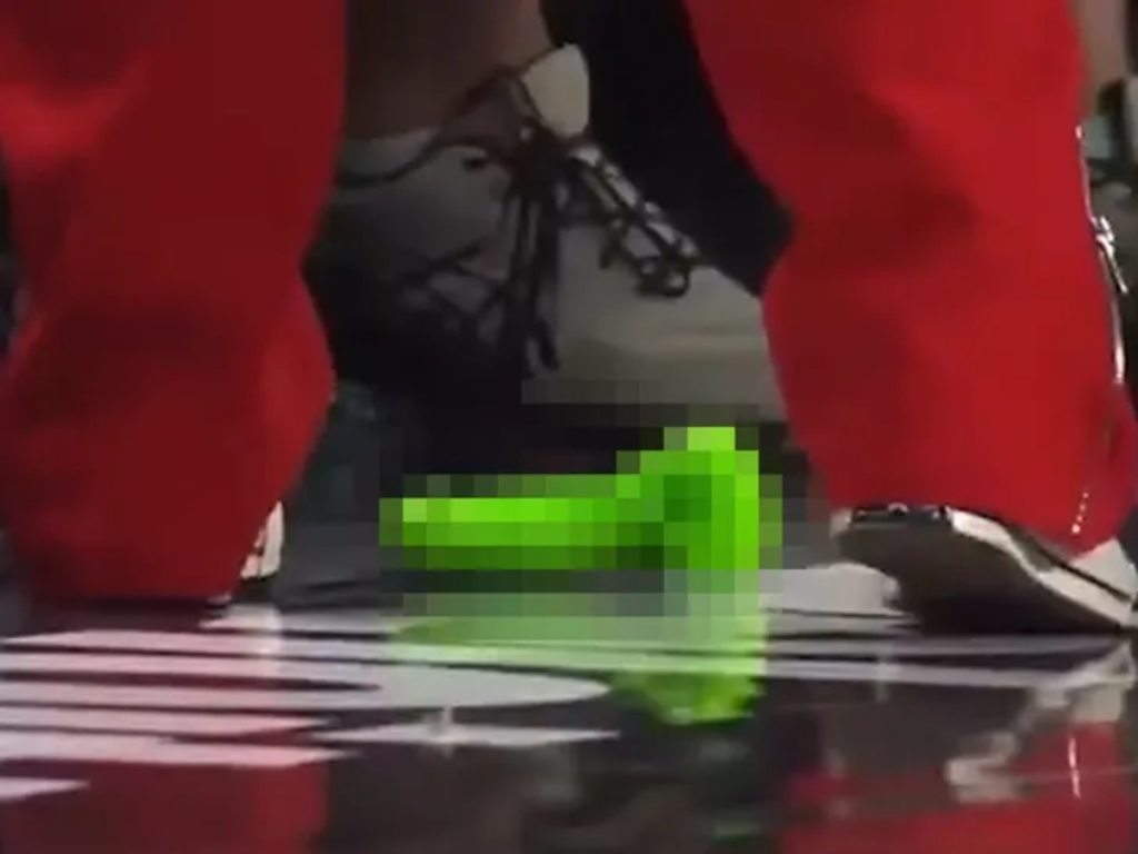 WNBA game temporarily stopped after sex toy is thrown onto court