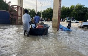 Deadly flash floods claim 25 lives in northeastern Nigeria, dozens missing