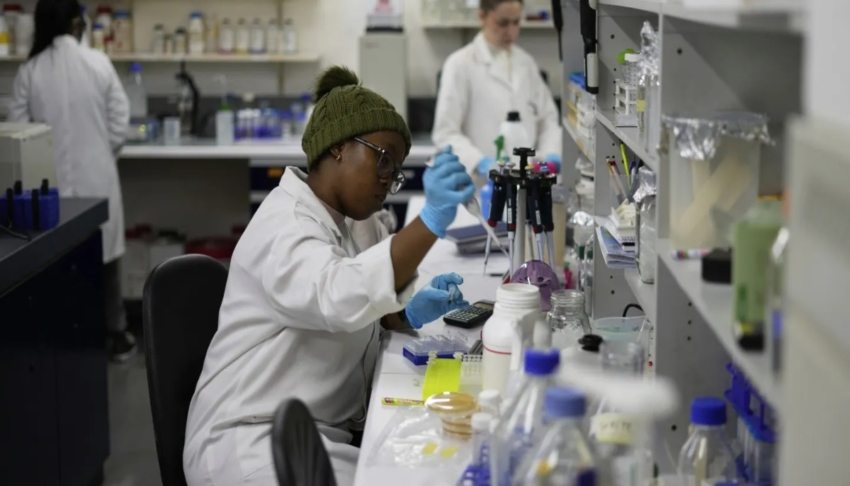 “Stop all work” – U.S. aid cuts derail HIV vaccine trials in South Africa