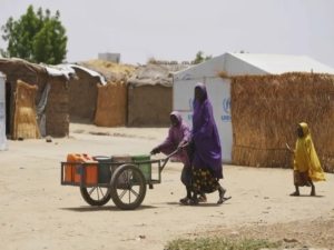 Boko Haram attack kills 9 in Northeast Nigeria (Borno State)