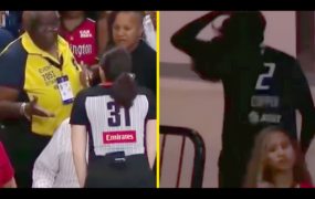 ‘Why you wearing wigs?’ – Reaction to Kahleah Copper’s wig loss that got fan removed from game