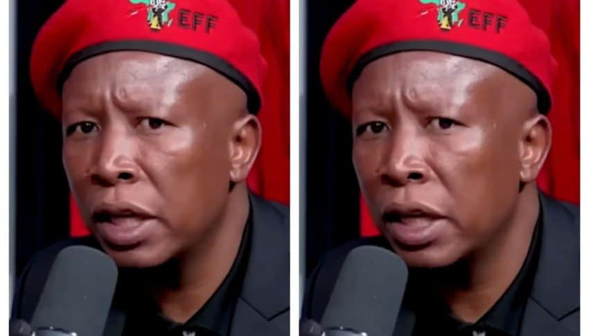 South Africa’s Julius Malema found guilty of hate speech over fiery 2022 rally remarks