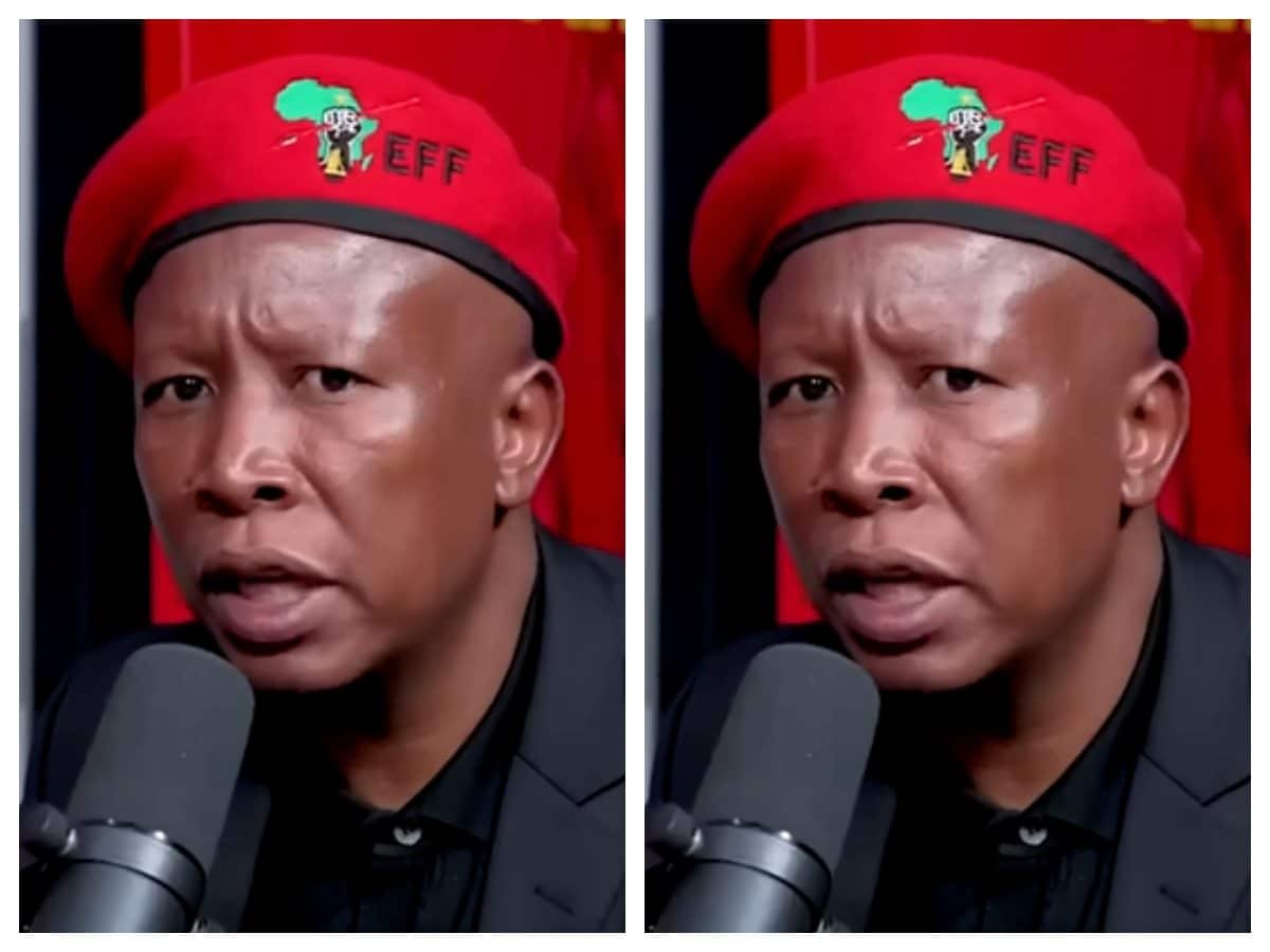 South Africa’s Julius Malema found guilty of hate speech over fiery 2022 rally remarks