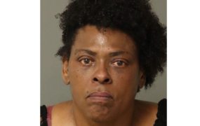 Woman charged after allegedly ordering her pit bull to maul a man before it was fatally shot