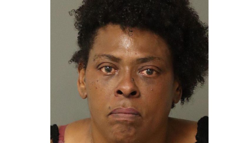 Woman charged after allegedly ordering her pit bull to maul a man before it was fatally shot