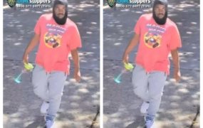 Brooklyn man accused of trying to rape two teens the same day