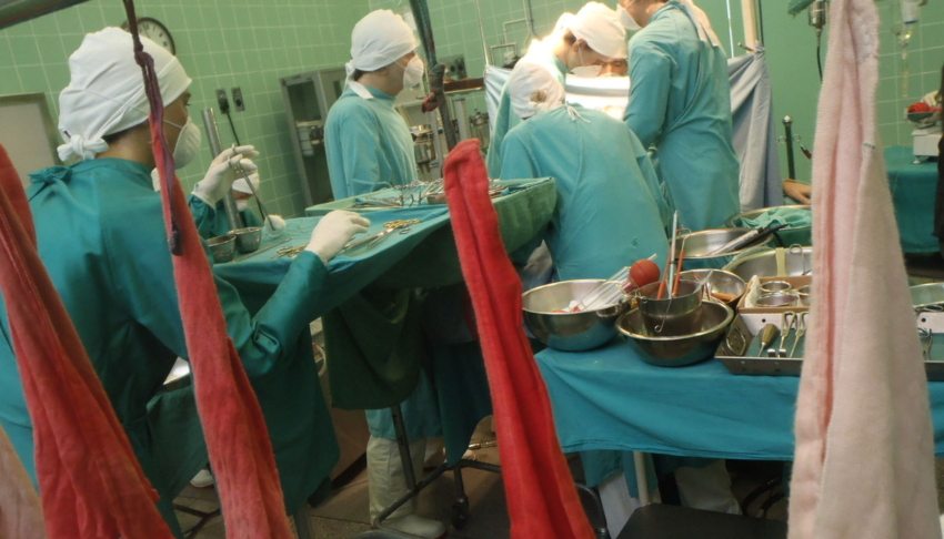 ‘Get him off the table’: Man recounts moment doctor saved him as his organs were about to be harvested by surgical team