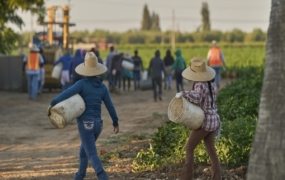 Preliminary data reveals 1.2 million immigrants exit U.S. labor force under Trump