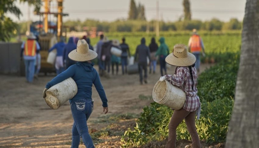 Preliminary data reveals 1.2 million immigrants exit U.S. labor force under Trump