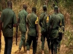 Nigeria forest guards