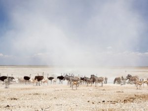 Namibia fire