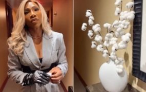 Serena Williams not happy with New York City hotel’s ‘cotton plant’ decoration