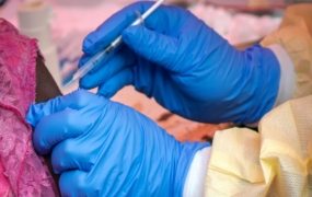 Health crisis deepens in eastern Congo as over 80% of health facilities run short of medicines, Red Cross reveals