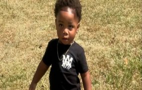 Daycare owner arrested after her dogs fatally mauled 2-year-old boy while she napped