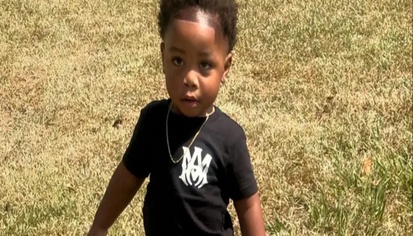 Daycare owner arrested after her dogs fatally mauled 2-year-old boy while she napped