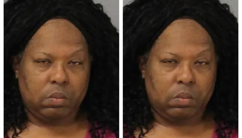 ‘Ms Sharon’: Male school bus driver who identifies as woman allegedly sexually abused multiple boys