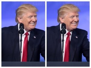 President Donald Trump