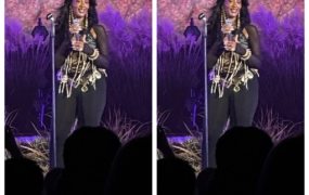 Tems explains why she won’t return to Uganda after fan poses that question