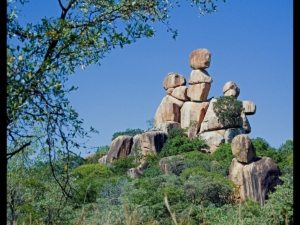 Erica McDowell and Travon Duncan