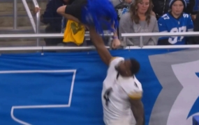 Lions fan discloses what he told DK Metcalf before he threw a punch at him