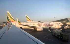 Ethiopia grounds Tigray flights as war fears resurface