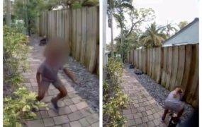 Police offer $5K reward for info that can help locate child videoed stomping and killing a duck