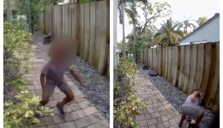 Police offer $5K reward for info that can help locate child videoed stomping and killing a duck