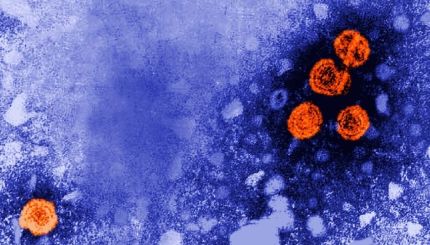 Guinea-Bissau halts U.S.-backed newborn hepatitis B trial over ethical concerns