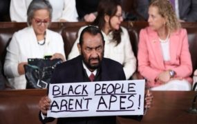 Al Green escorted from chamber after holding ‘BLACK PEOPLE AREN’T APES!’ sign at Trump address