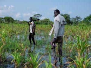 Members of the White Army in South Sudan