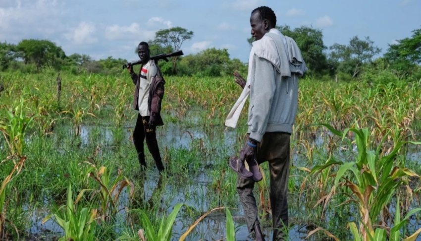 Witnesses say South Sudan villagers were lured from homes and killed after aid promise