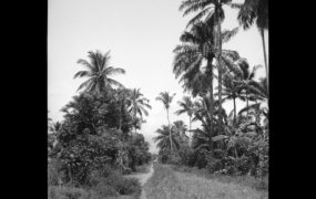 Why plantation slavery may been invented on this small African island